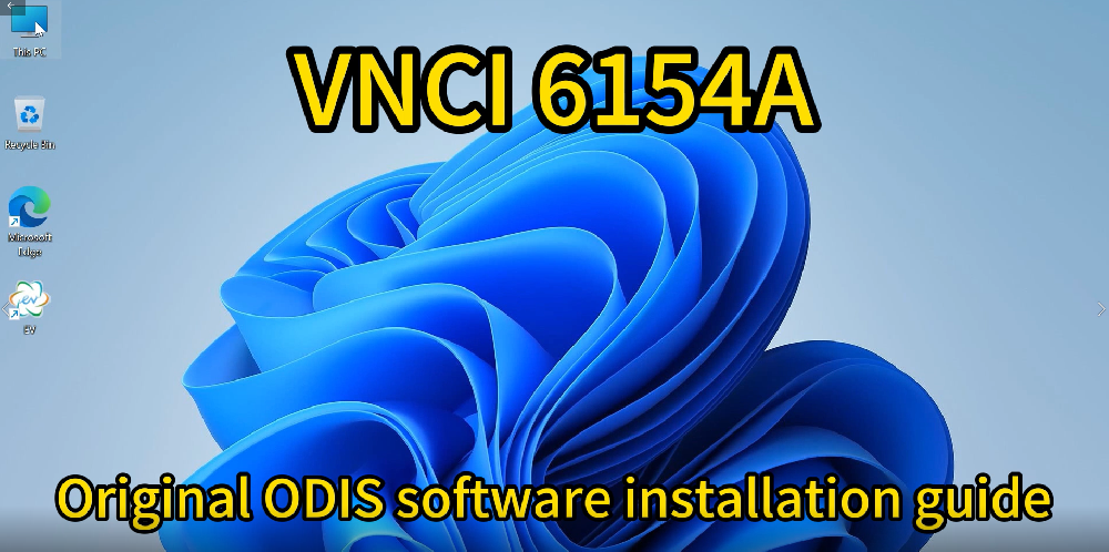 ODIS software installation guide